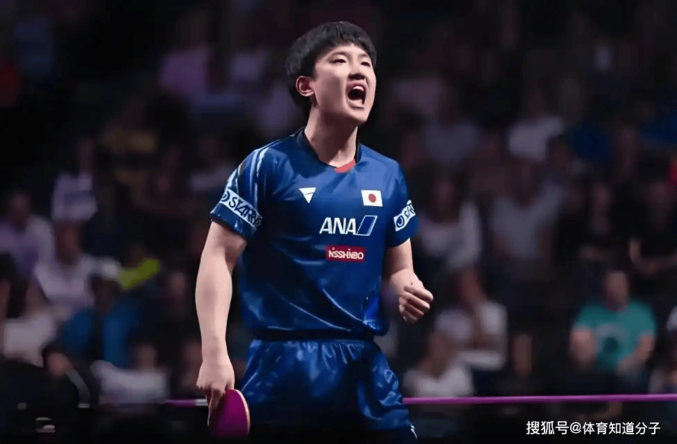 波兰队翻盘法国队,张本智和状态火热 波兰队翻盘法国队,张本智和状态火热
