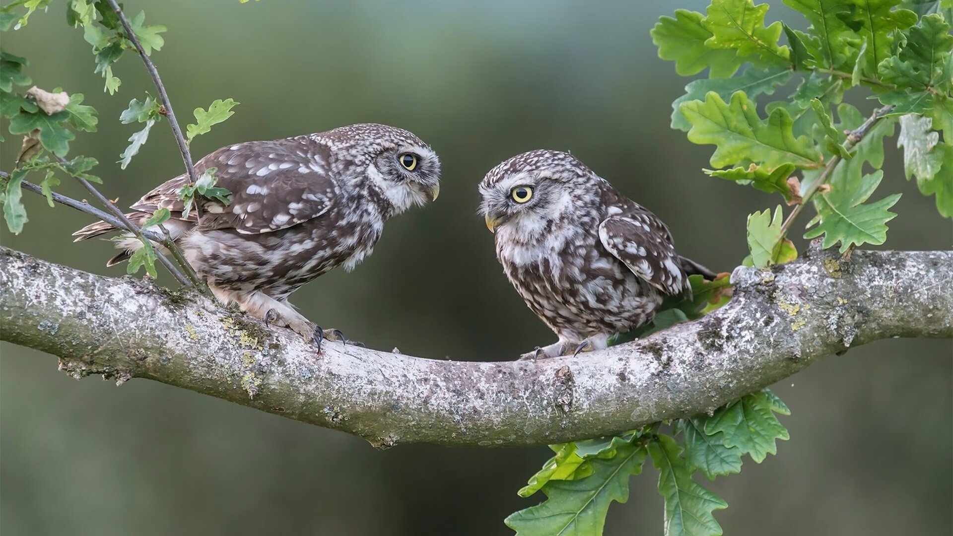 打破老二魔咒，浙江队的觉醒之战