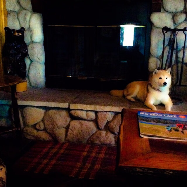 硬仗DNA，从贝恩的王者时刻到爵士的血脉压制