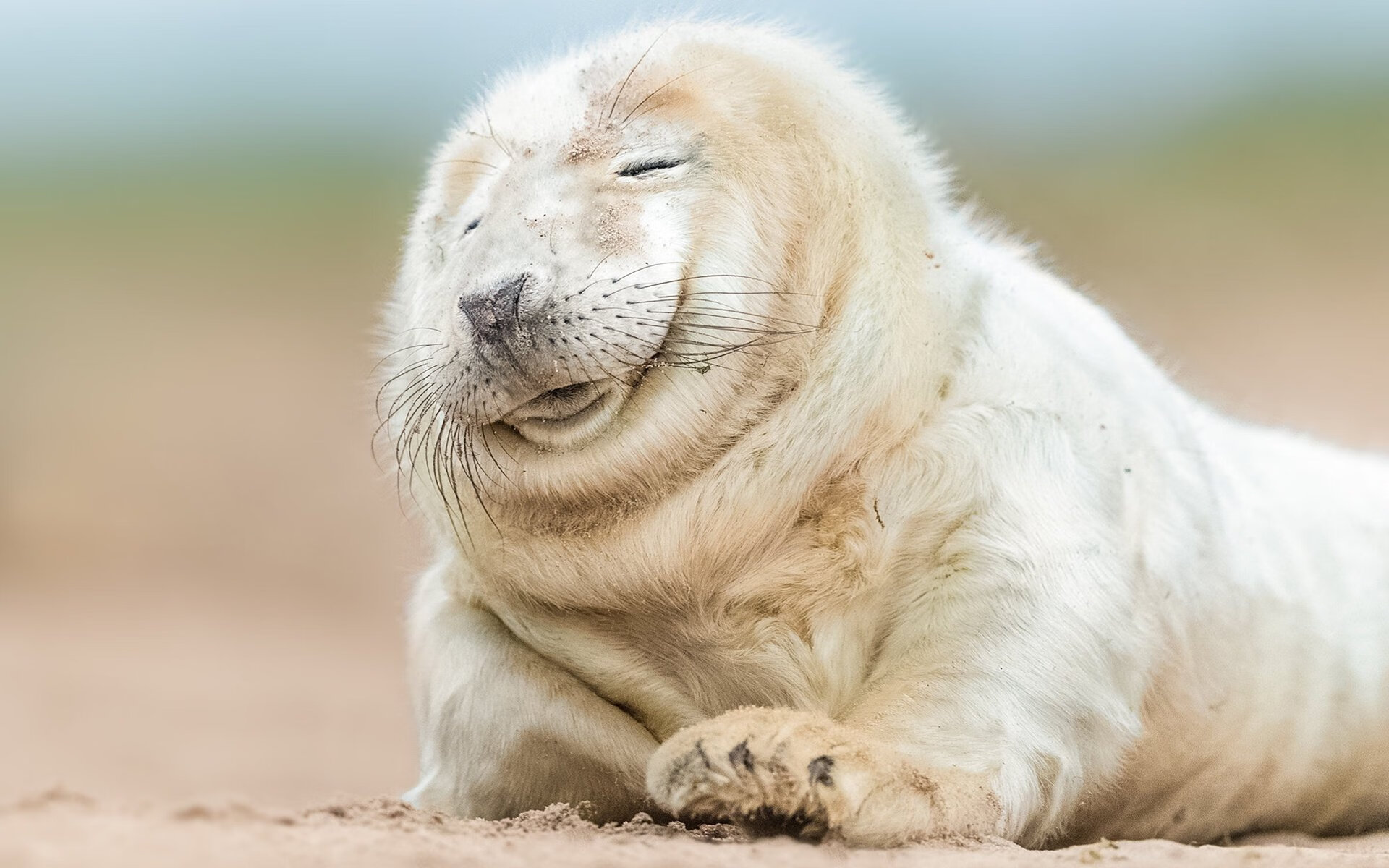 绿茵上的狂想曲,当爱尔兰强压撞上格鲁吉亚的爆裂音符