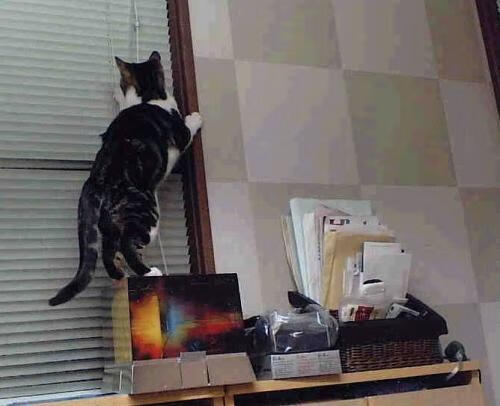 迈阿密凌晨五点的篮球,正在大西洋对岸的欧冠决赛上演