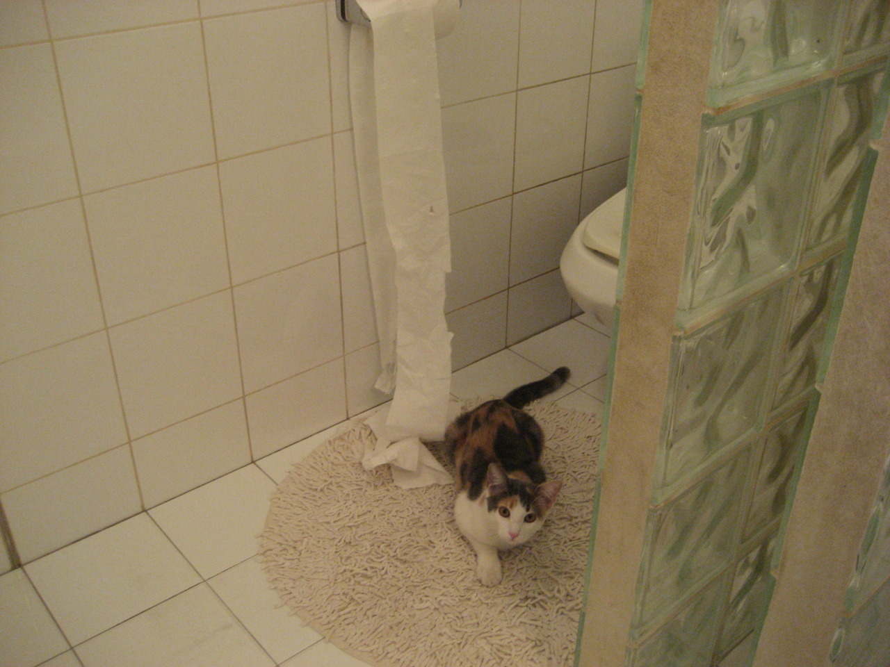 足坛手术刀，乌拉圭拆解专家的欧冠猎杀计划，卢卡库如何精准解剖皇马