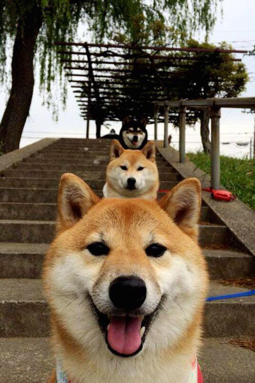 开云体育app-卡塞米罗的魔法，澳大利亚创纪录狂胜比利亚雷亚尔，唯一性胜利载入史册