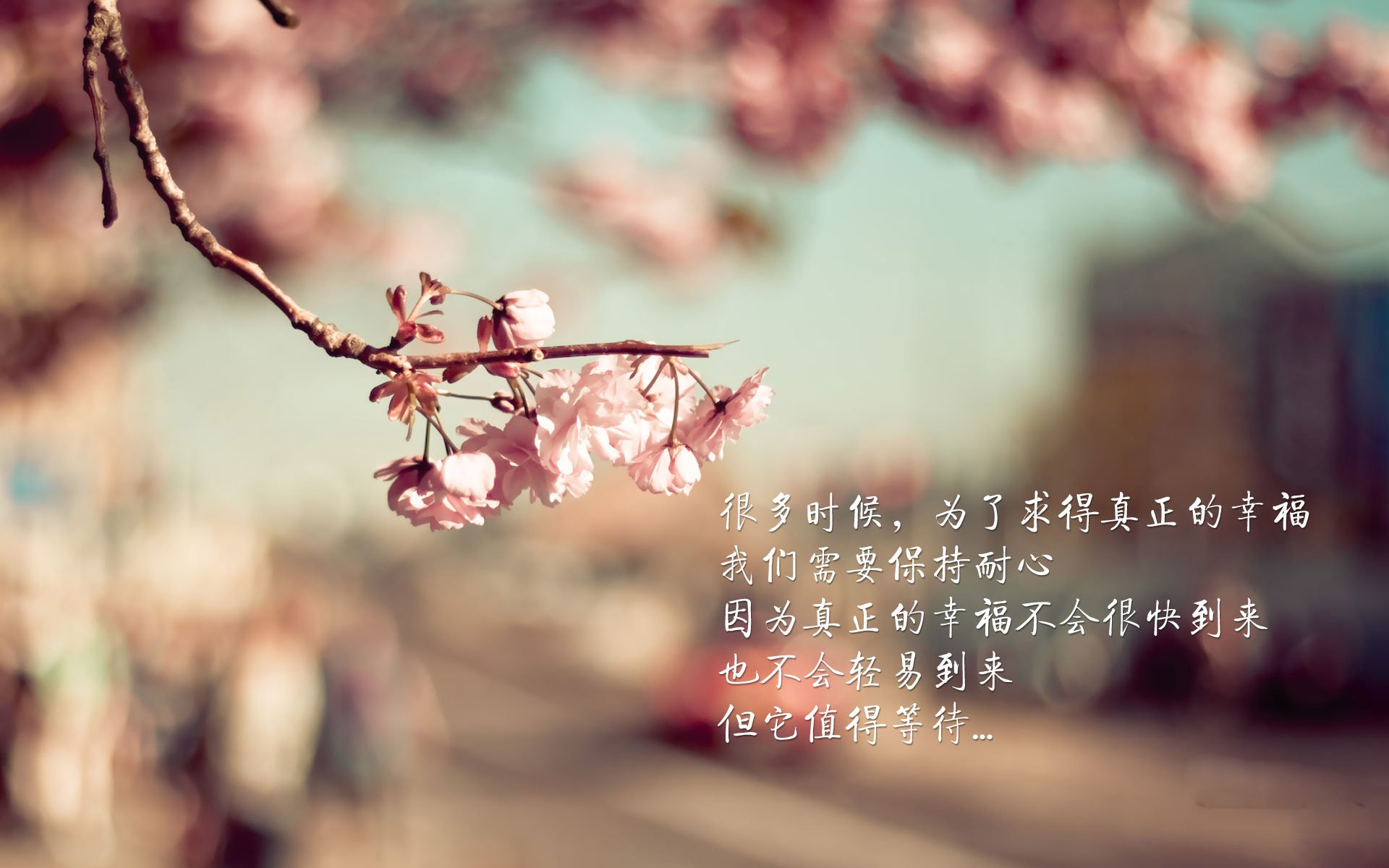 哥本哈根的最后一抹光,罗德里戈刺破沙漠防线,丹麦绝杀阿联酋上演生死时速